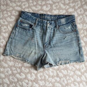American Eagle Curvy Relaxed Short